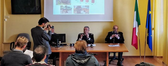 Incendi nei boschi di Val di Susa e nel Canavese: carabinieri forestali indagano su episodi seriali