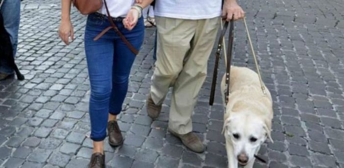 Per categorie con disabilità il mondo del lavoro è un rebus ancora più difficile da risolvere