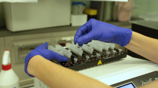 Laboratorio analisi con provette Laboratorio analisi con provette