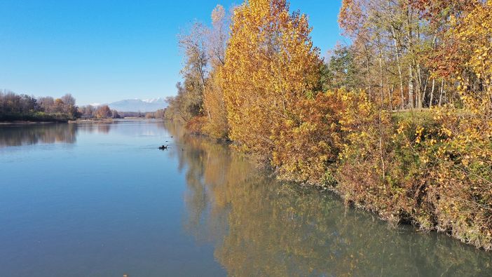 Oltre 2 milioni di euro per la forestazione urbana di Chivasso Oltre 2 milioni di euro per la forestazione urbana di Chivasso
