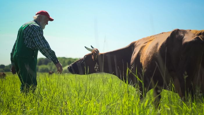 Cinemambiente torna in Valchiusella a braccetto con Slow Food: "Valorizziamo le comunità locali" Cinemambiente torna in Valchiusella a braccetto con Slow Food: "Valorizziamo le comunità locali"