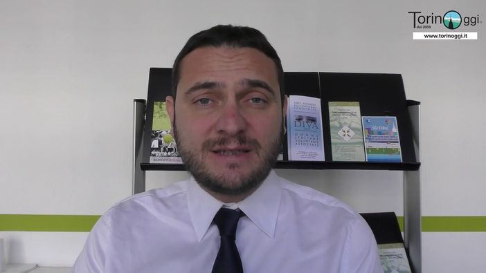 Magliano: "Invece di scaricare colpe sui funzionari, la Giunta trovi risorse per gli studenti e per le famiglie piemontesi" Magliano: "Invece di scaricare colpe sui funzionari, la Giunta trovi risorse per gli studenti e per le famiglie piemontesi"