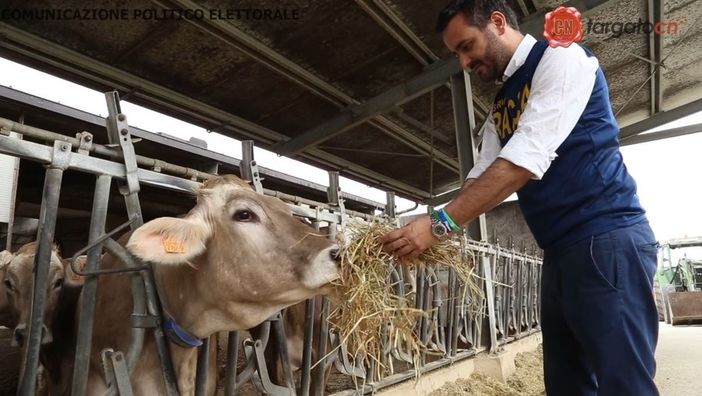 Agricoltura: “Votare Lega e scrivere Racca vuol dire portare le istanze delle nostre aziende agricole a Bruxelles” (VIDEO) Agricoltura: “Votare Lega e scrivere Racca vuol dire portare le istanze delle nostre aziende agricole a Bruxelles” (VIDEO)