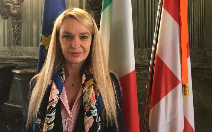 Stefania Pucciarelli, sottosegretario alla Difesa Stefania Pucciarelli, sottosegretario alla Difesa