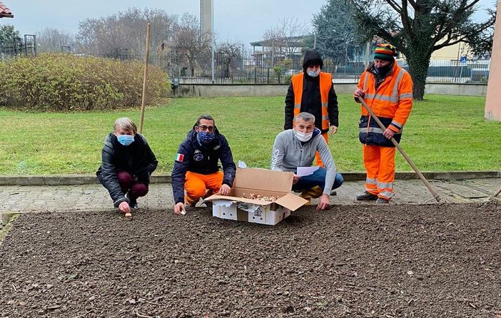 Messer tulipano arriva anche al parco di Crescentino
