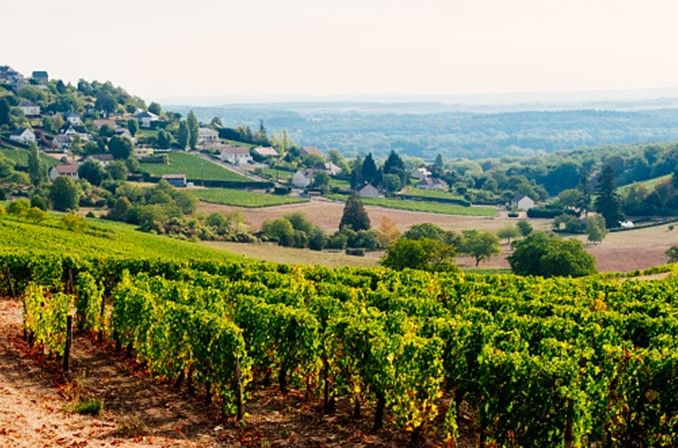 Con "Terroir" alla scoperta dei territori vitivinicoli di San Giorgio e del Canavese
