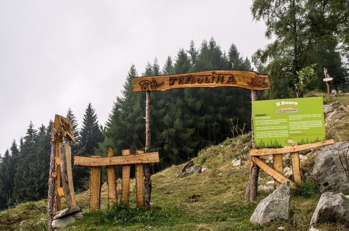 Il bosco della Trebulina