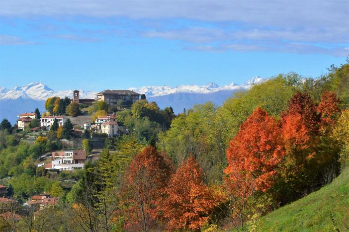 Castiglione - San Mauro: nasce &quot;Boschi dei Bric&quot; per la valorizzazione del patrimonio boschivo