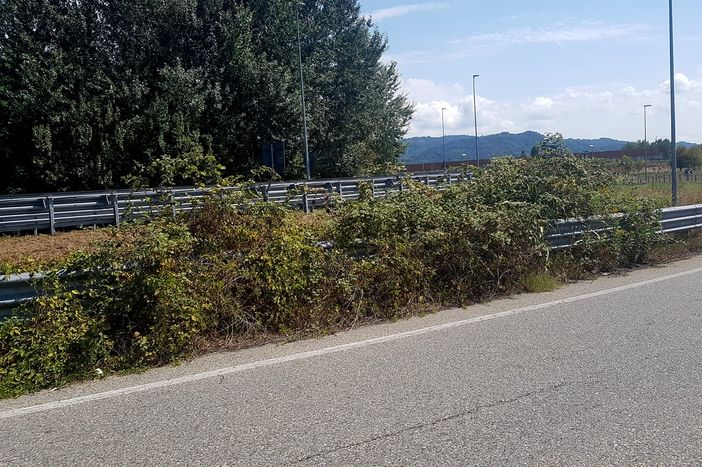 Brandizzo: Alternativa Civica, "Serve manutenzione in strada Monviso!"