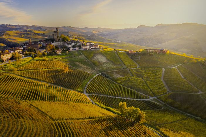 &quot;Mio fratello alleva pecore e mucche: esperienze come la sua devono essere valorizzate&quot;