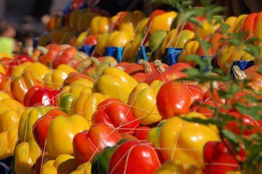 Oltre 100 mila presenze alla Fiera del Peperona di Carmagnola, Sola: &quot;Un grande successo&quot; [VIDEO]