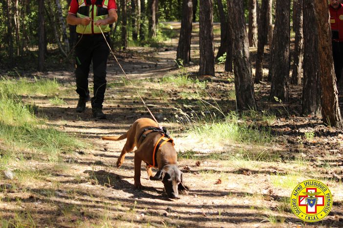 Magliano: &quot;L'attività cinofila riparta anche in Piemonte&quot;