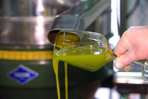 Slow Food ha presentato “La Guida agli Extravergini” 2022  per far conoscere oli, uomini e territori. BioDea un workshop seguitissimo Slow Food ha presentato “La Guida agli Extravergini” 2022  per far conoscere oli, uomini e territori. BioDea un workshop seguitissimo