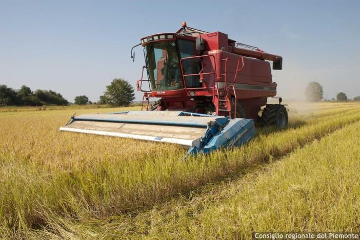 Piano per la qualità dell'aria: "In assenza di modifiche  a rischio il settore agricolo"