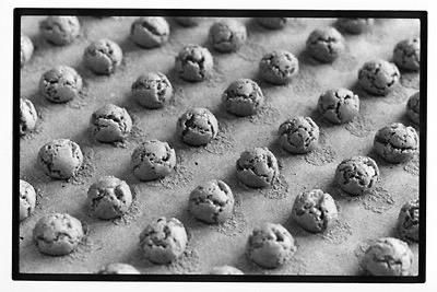 Fonte Archivio Storico dei Produttori dei Nocciolini di Chivasso Fonte Archivio Storico dei Produttori dei Nocciolini di Chivasso