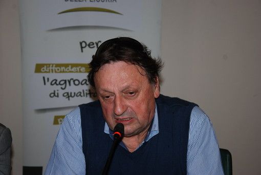 Dazi Usa, Rinaldi (Antica Azienda Raineri): “Così l’export di extravergine è a rischio” Dazi Usa, Rinaldi (Antica Azienda Raineri): “Così l’export di extravergine è a rischio”