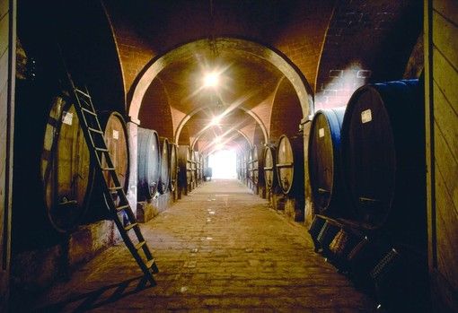 Accordo tra Intesa Sanpaolo e Consorzio Barolo Barbaresco: accesso al credito e progetti di filiera per 500 cantine