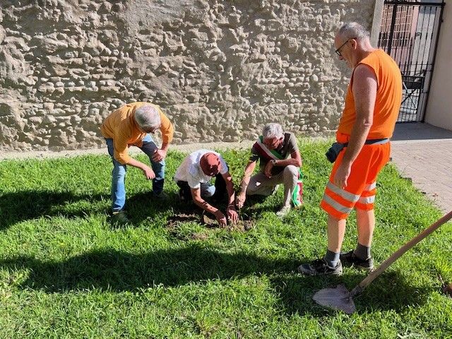 A Chivasso l’iniziativa “Un albero pedala attraverso l’Europa" A Chivasso l’iniziativa “Un albero pedala attraverso l’Europa"