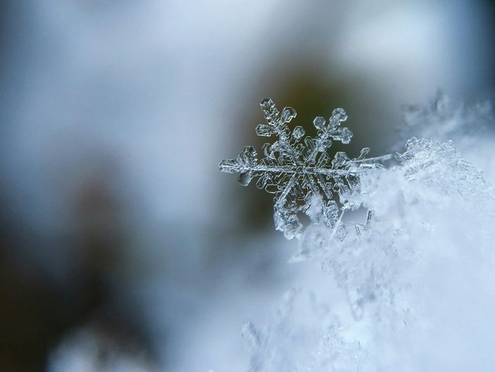Foto di Aaron Burden - tramite Unsplash Foto di Aaron Burden - tramite Unsplash