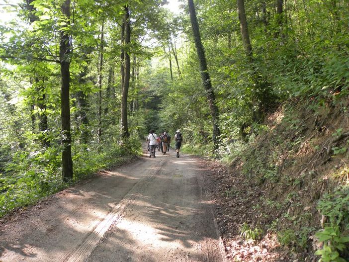 Il bosco del Vaj Il bosco del Vaj