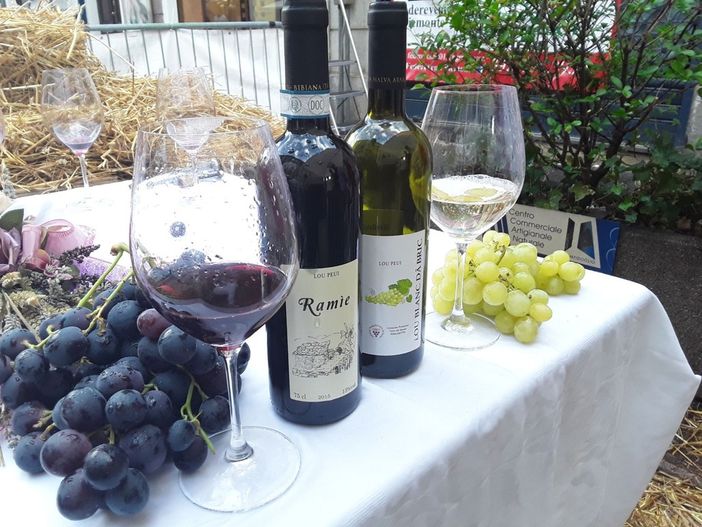 Diverse le proposte di Coldiretti presentate a Palazzo Chigi per sostenere il comparto Diverse le proposte di Coldiretti presentate a Palazzo Chigi per sostenere il comparto