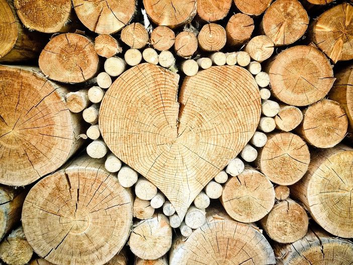 Nasce a Woody 2024 l’associazione “Cluster Legno Piemonte”