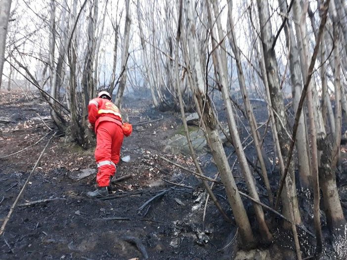 incendi boschivi - foto d'archivio