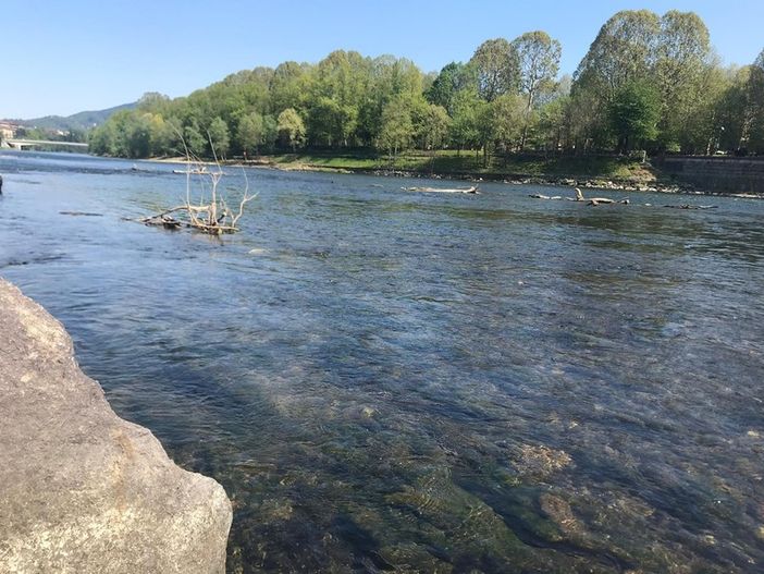 Fiumi, il Piemonte stanzia tre milioni di euro per manutenzione e pulizia Fiumi, il Piemonte stanzia tre milioni di euro per manutenzione e pulizia