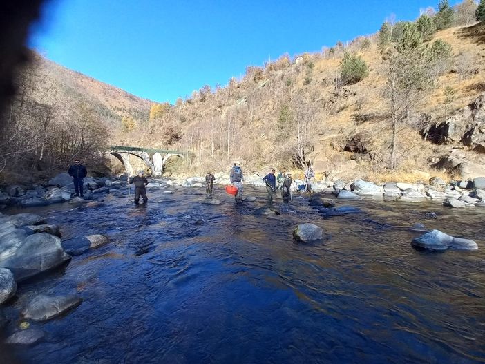 Due nuovi incubatoi ittici nella Dora per la conservazione della trota marmorata e del temolo adriatico