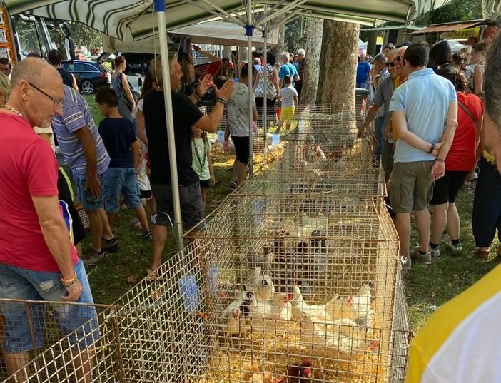 Chivasso, al via la storica Fiera del Beato Angelo Carletti Chivasso, al via la storica Fiera del Beato Angelo Carletti