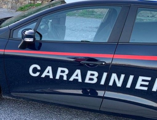 Candia, producevano droga in casa: padre e due figli denunciati Candia, producevano droga in casa: padre e due figli denunciati
