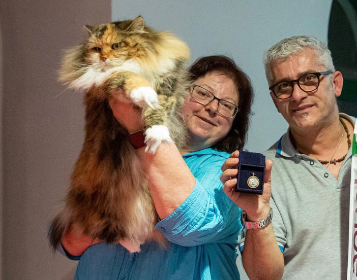 Alcuni momento della mostra Alcuni momento della mostra