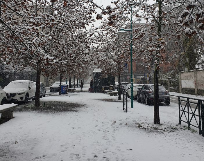 La neve nei viali di Chivasso La neve nei viali di Chivasso