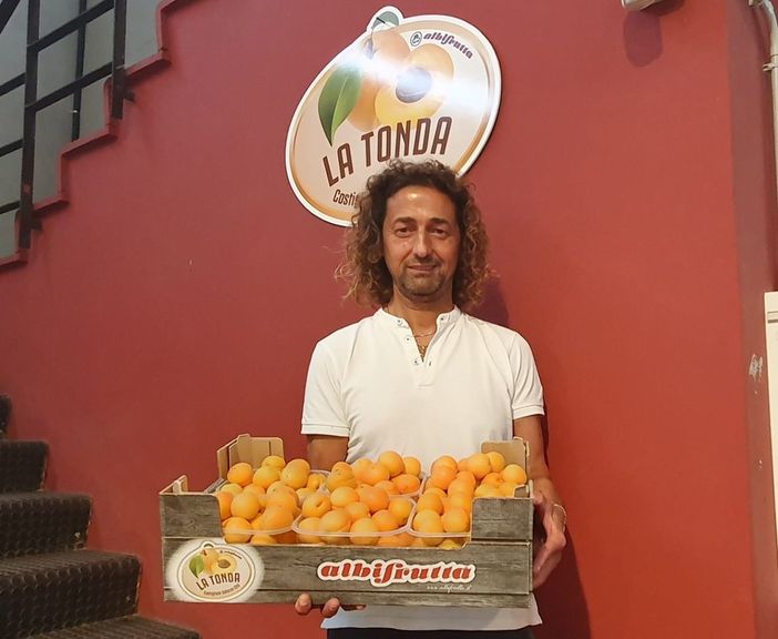 Flavio Lovera, direttore di Albifrutta, con l'albicocca Tonda di Costigliole Saluzzo Flavio Lovera, direttore di Albifrutta, con l'albicocca Tonda di Costigliole Saluzzo