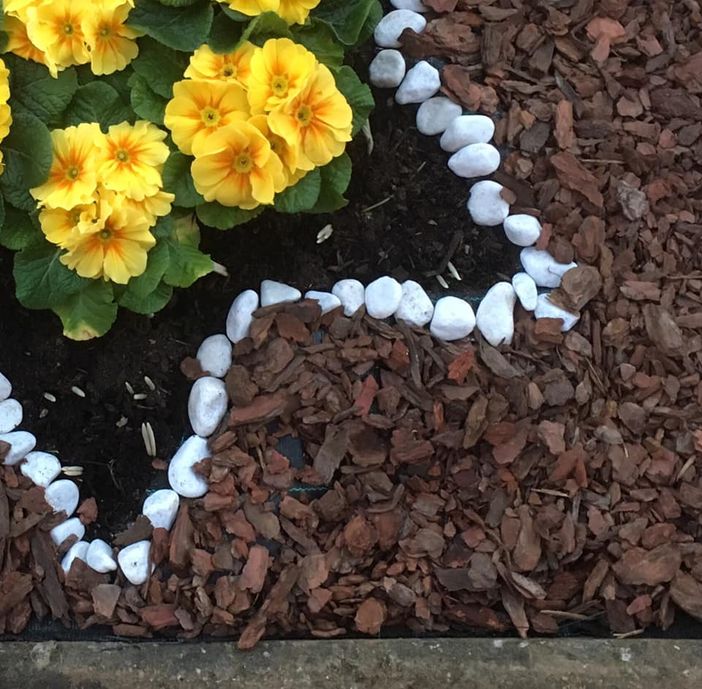 I fiori gialli piantati dai bambini I fiori gialli piantati dai bambini