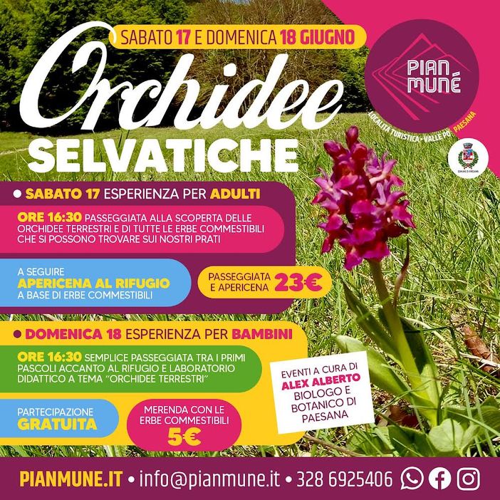 Pian Munè di Paesana: le Orchidee Selvatiche Pian Munè di Paesana: le Orchidee Selvatiche