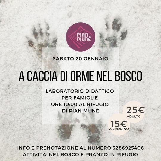 Laboratorio per bambini ‘A caccia di orme sulla neve’ a Pian Munè di Paesana Laboratorio per bambini ‘A caccia di orme sulla neve’ a Pian Munè di Paesana