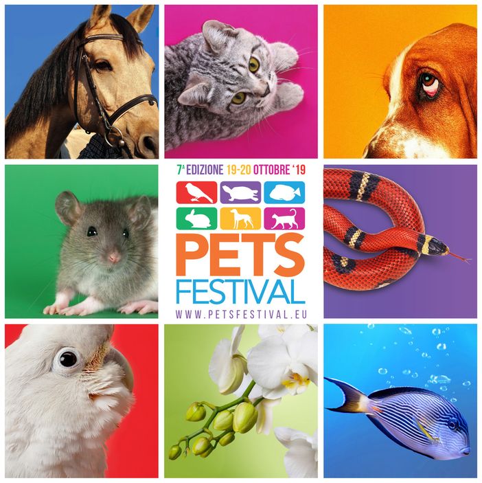 Petsfestival si prepara alla 7° Edizione: a Piacenza Expo dal 19 al 20 ottobre Petsfestival si prepara alla 7° Edizione: a Piacenza Expo dal 19 al 20 ottobre