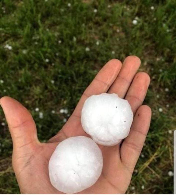 Maltempo, Confagricoltura Piemonte: "Le assicurazioni da sole non bastano più"