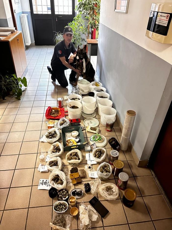 operazione antidroga carabinieri