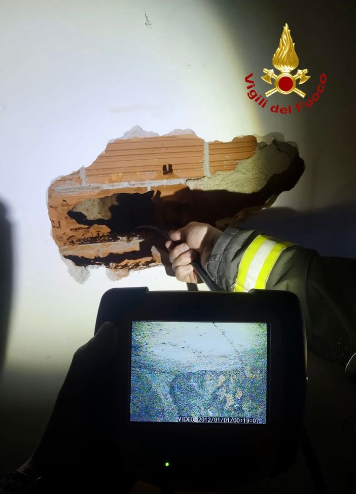 Albiano, i Vigili del Fuoco salvano gattino caduto in una canna fumaria