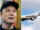 Musk provoca Ryanair: "Quanto mi può costare comprarti?". E lancia il sondaggio su X Musk provoca Ryanair: "Quanto mi può costare comprarti?". E lancia il sondaggio su X