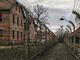 Il campo di concentramento di Auschwitz
