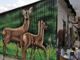 Ingria cambia volto grazie ai murales e suggerisce l'idea anche alla Regione Piemonte