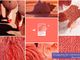 Living Coral, il colore dell'anno 2019 scelto da Pantone: come abbinarlo al meglio!