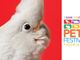 Eventi: l'area ornitologica di Petsfestival 2019