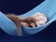 Petsfestival 2021: gli esotici e altri animali