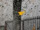 Le temperature torneranno a salire