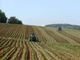 Agricoltura, Cia Piemonte: &quot;Accolta in Senato la nostra proposta sugli anticipi Pac alle aziende agricole&quot;