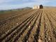 siccità e agricoltura